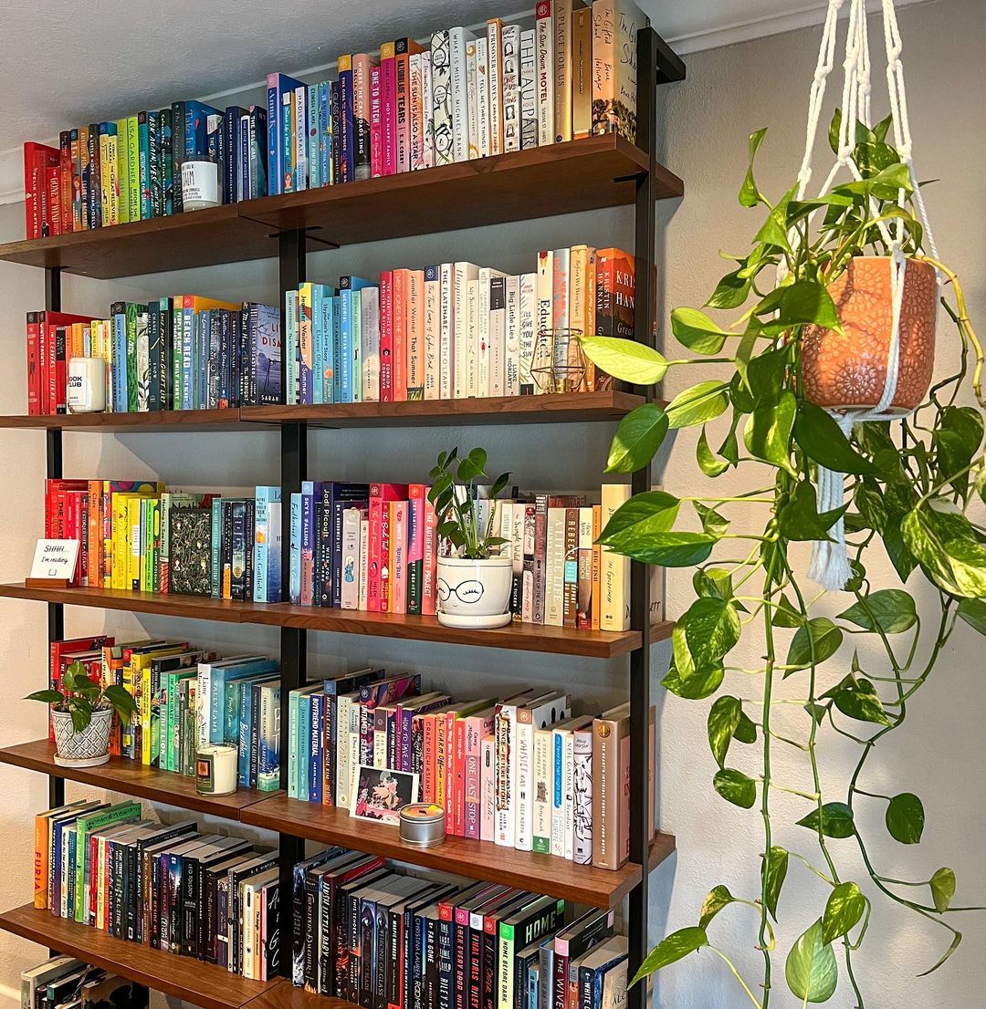 A bookshelf with plants on it
